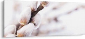 Tablou - Ramură (120x50 cm)