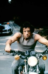 Fotografie Sylvester Stallone