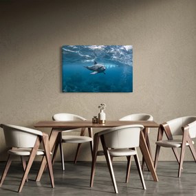 Tablou - Delfin sub apă (90x60 cm)