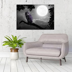 Tablou - Bufniță de noapte, bufniță mov (90x60 cm)