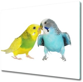 Tocator din sticla Budgies