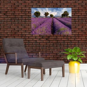 Tablou - câmp de lavandă și munți (90x60 cm)
