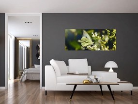Tablou cu fluture (120x50 cm)