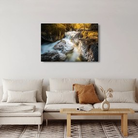 Tablou - Râul din pădure (90x60 cm)