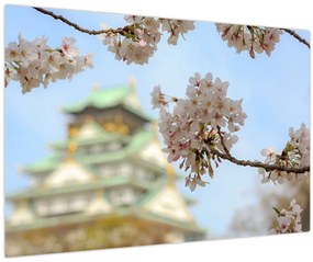 Tablou - Sakura (90x60 cm)