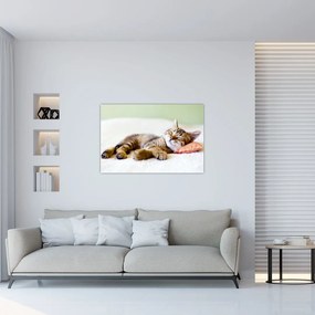 Tablou - Pisicuța adormită (90x60 cm)