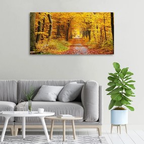 Tablou canvas Pădure în toamna
