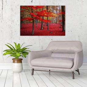 Tablou - Pădurea roșie (90x60 cm)