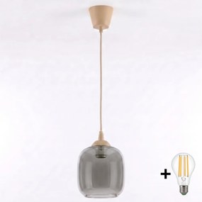 Brilagi - Lampă LED suspendată pe cablu R GLASS 1xE27/60W/230V Ø 14 cm, bej/gri fumuriu