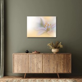 Tablou - Floare fragedă (70x50 cm)