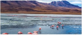 Tablou - Flamingo (120x50 cm)