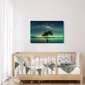 Tablou cu cerul nocturn (90x60 cm)