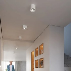 Sollux SL.0841 - Spot KALU 1xGU10/ES111/40W/230V