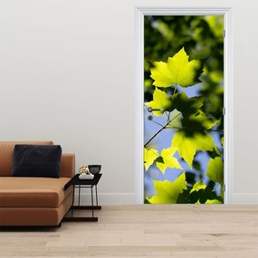 Fototapet pentru ușă - Frunze de arțar (95x205cm)