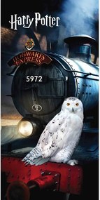 Prosop pentru copii din bumbac 70x140 cm Harry Potter "Hedwig" – Jerry Fabrics