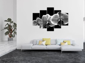 Tablou floare de orhidee (150x105 cm)