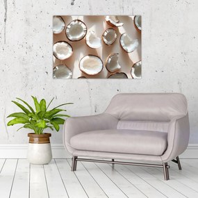 Tablou - Nuci de cocos (70x50 cm)