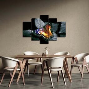 Tablou cu fluture (150x105 cm)