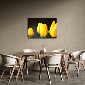Tablou cu lalele (70x50 cm)