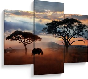Tablou - Parcul Național Serengeti, Tanzania, Africa (90x60 cm)