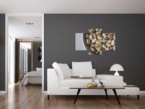 Tabloul - fistic (90x60 cm)