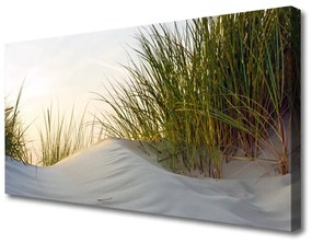 Tablou pe panza canvas Nisip Iarbă Peisaj Gri Verde