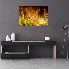 Tablou - Detaliu rouă (90x60 cm)