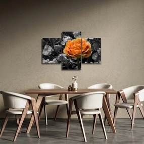 Tablou cu floare (90x60 cm)