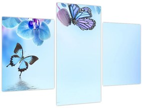 Tablou - Fluture pe flori de orhidee, albastru (90x60 cm)