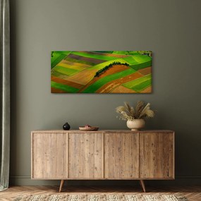 Tablou - Lan, luncile (120x50 cm)