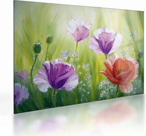 Tablou pe sticlă - Maci (70x50 cm)