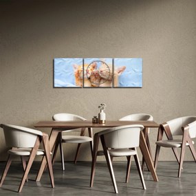 Tablou - Pisicuțe adormite (cu ceas) (90x30 cm)