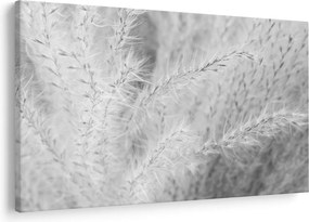 Tablou - Iarbă de pampas N⁰1 (90x60 cm)