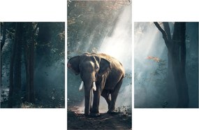 Tablou cu elefant în djunglă (90x60 cm)