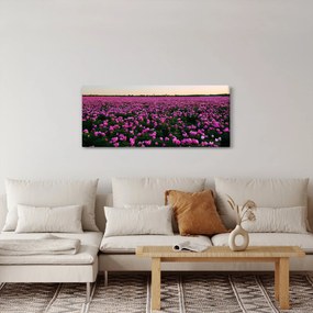 Tablou - Pajiștea cu lalele violet (120x50 cm)