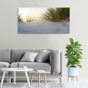 Imprimare tablou canvas Dune de coastă