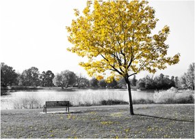 Tablou - relaxare în parc (70x50 cm)