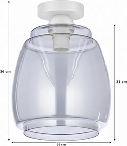 BRILAGI - Plafonieră LED R GLASS 1xE27/60W/230V diam. 26 cm alb/gri fumuriu