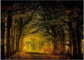 Tablou pe sticlă cu pădure (70x50 cm)