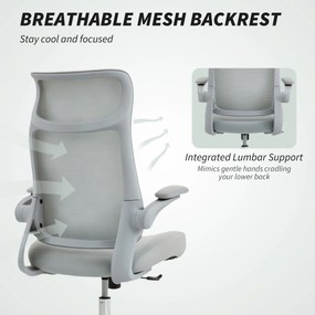 HOMCOM Scaun de birou ergonomic cu cotiere reglabile și tetieră, gri | Aosom Romania