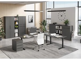 Șifonier gri antracit 81x197 cm Mailand – Germania