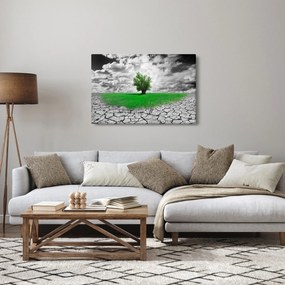 Tablou - O bucată de natură în oraș (90x60 cm)
