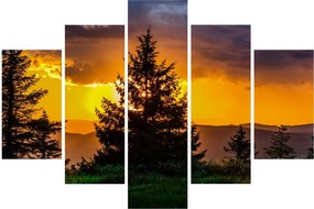 Tablou - coniferi (150x105 cm)