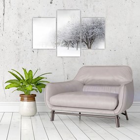 Tablou - Aleea de iarnă (90x60 cm)