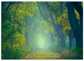 Tablou cu drum dea lungul cu copaci (70x50 cm)