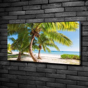Tablou pe pânză Plaja tropicala