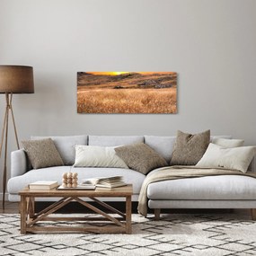 Tablou cu câmp (120x50 cm)