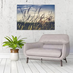 Tablou cu flori de câmp (90x60 cm)