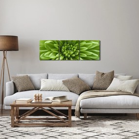 Tablou - Imagine macro a unei plante (cu ceas) (90x30 cm)
