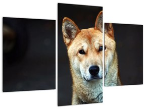 Tablou cu câine (90x60 cm)